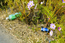 登山ではゴミを必ず持ち帰りましょう。